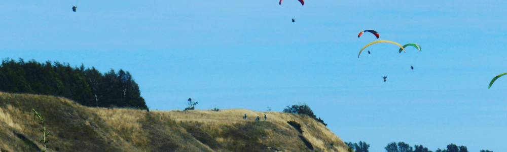 Imagem do banner do Usuário
